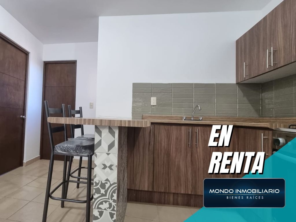DEPARTAMENTOS RENTA GUADALUPE CENTRO - Mondo Inmobiliario
