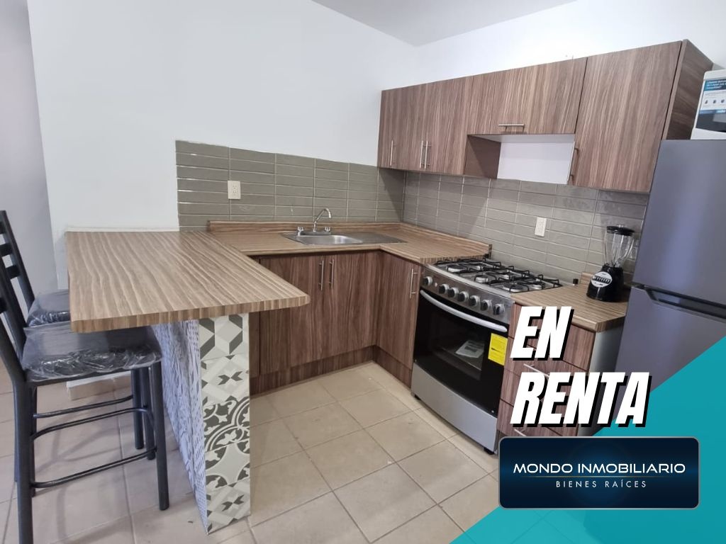 DEPARTAMENTOS RENTA GUADALUPE CENTRO - Mondo Inmobiliario