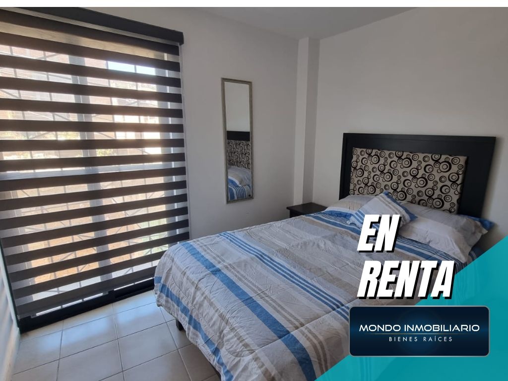 DEPARTAMENTOS RENTA GUADALUPE CENTRO - Mondo Inmobiliario