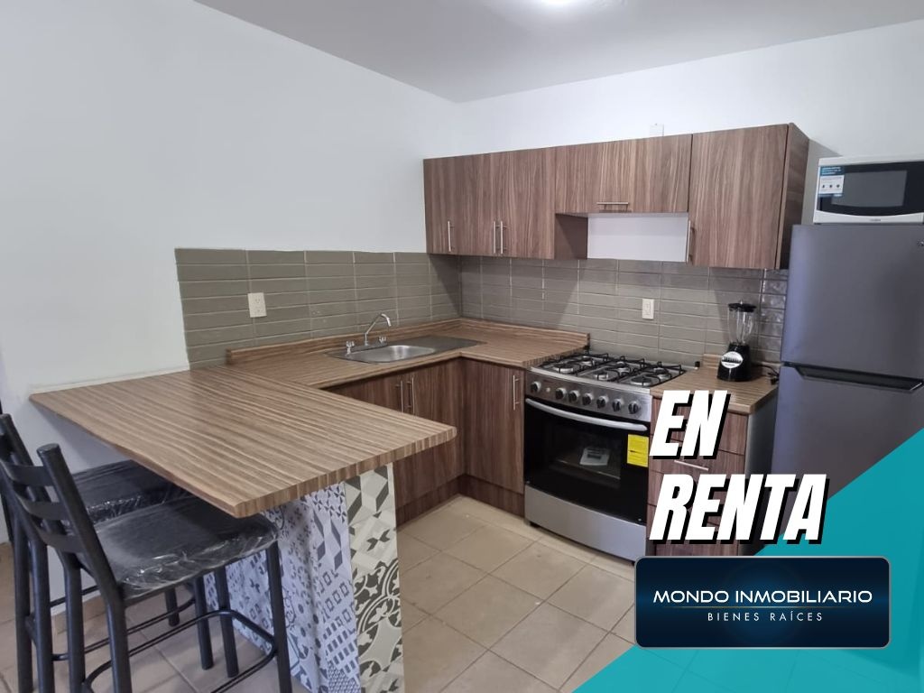 DEPARTAMENTOS RENTA GUADALUPE CENTRO - Mondo Inmobiliario