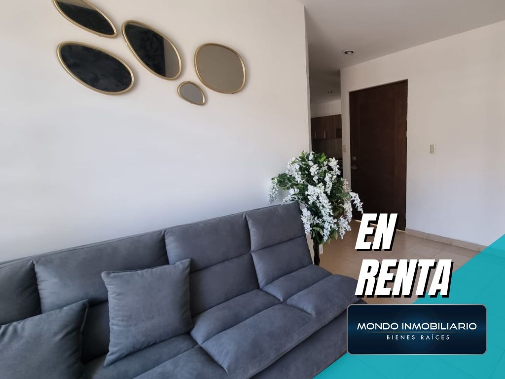 DEPARTAMENTOS RENTA GUADALUPE CENTRO - Mondo Inmobiliario