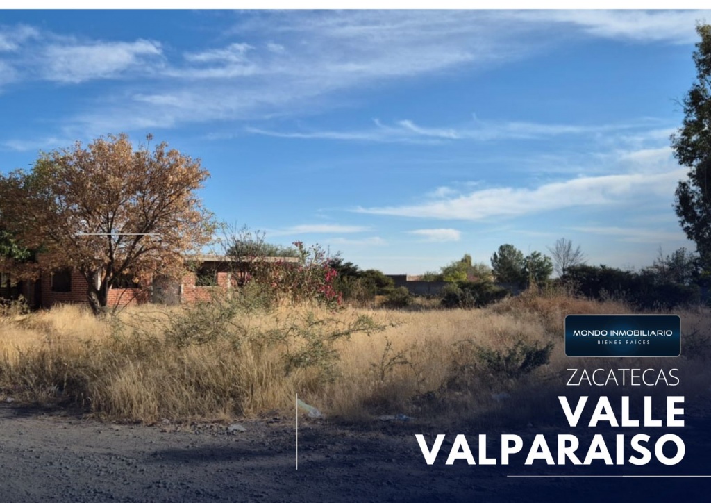 TERRENO VENTA ZACATECAS VALLE VALPARAISO - Mondo Inmobiliario
