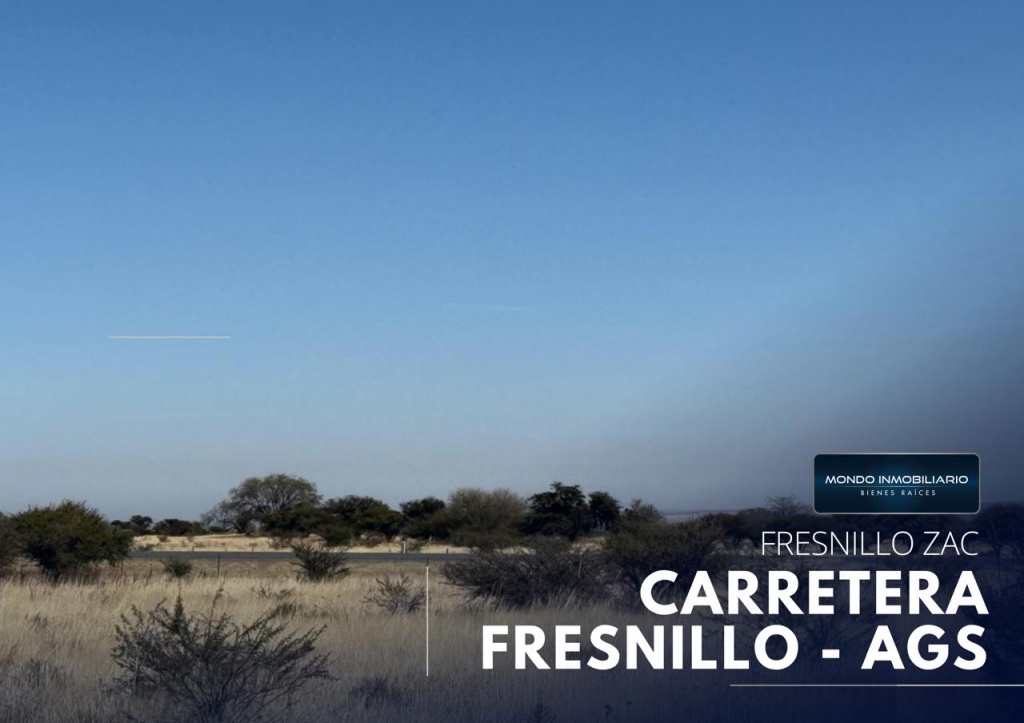 TERRENO VENTA CARRETERA FRESNILLO - AGUASCALIENTES - Mondo Inmobiliario