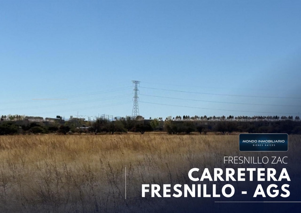 TERRENO VENTA CARRETERA FRESNILLO - AGUASCALIENTES - Mondo Inmobiliario