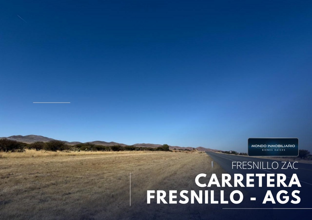TERRENO VENTA CARRETERA FRESNILLO - AGUASCALIENTES - Mondo Inmobiliario