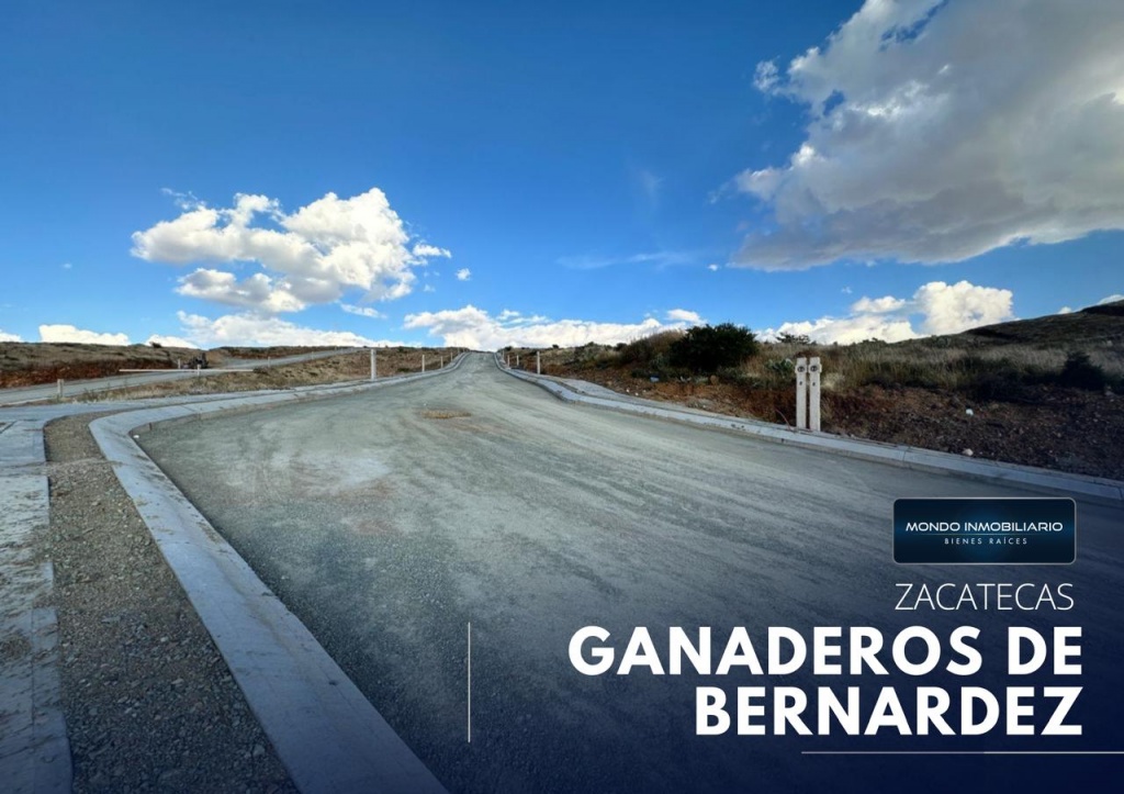 TERRENO FRENTE A CENTRO PLATERO - Mondo Inmobiliario