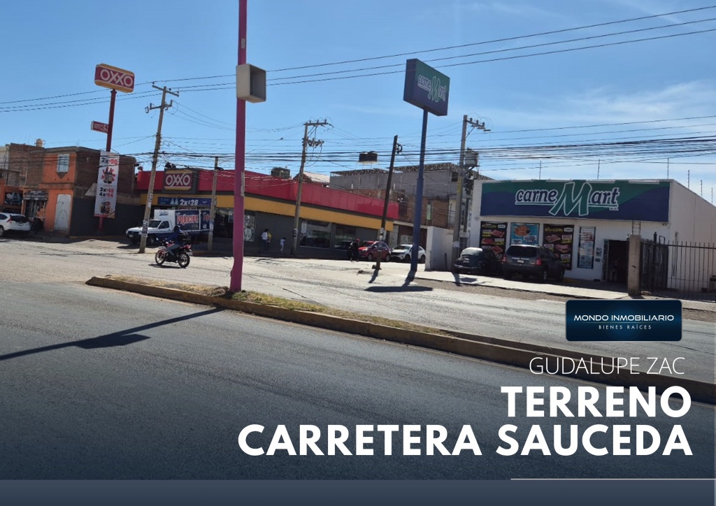 TERRENO A POCOS METROS DE MERCADO SORIANA - Mondo Inmobiliario