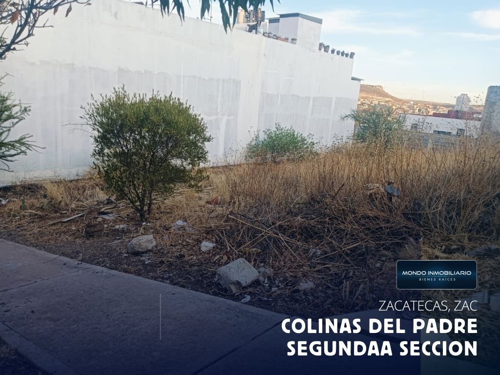TERRENO VENTA ZACATECAS SEGUNDA SEC COLINAS DEL PADRE - Mondo Inmobiliario