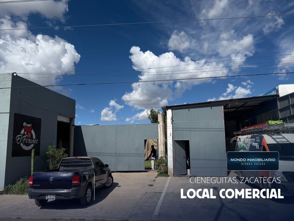 LOCALES COMERCIALES VENTA ZACATECAS CIENEGUITAS - Mondo Inmobiliario