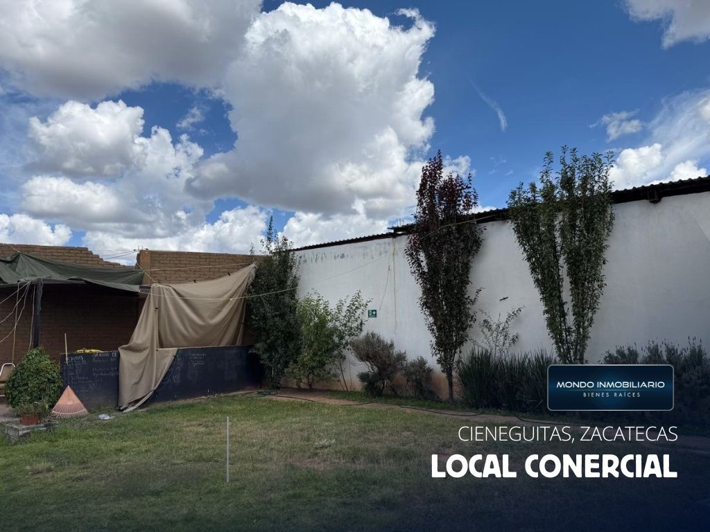 LOCALES COMERCIALES VENTA ZACATECAS CIENEGUITAS - Mondo Inmobiliario