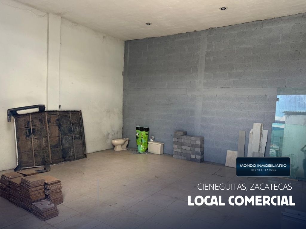 LOCALES COMERCIALES VENTA ZACATECAS CIENEGUITAS - Mondo Inmobiliario