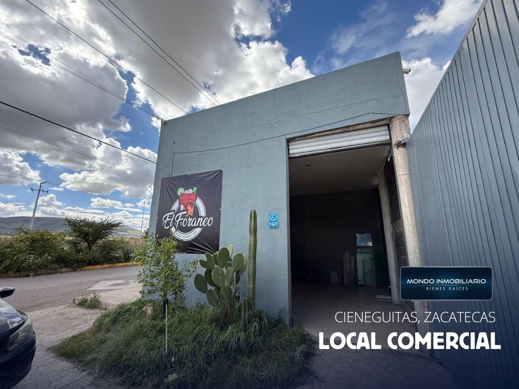 LOCALES COMERCIALES VENTA ZACATECAS CIENEGUITAS - Mondo Inmobiliario