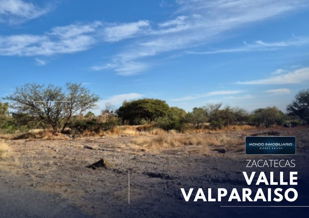 TERRENO VENTA ZACATECAS VALLE VALPARAISO