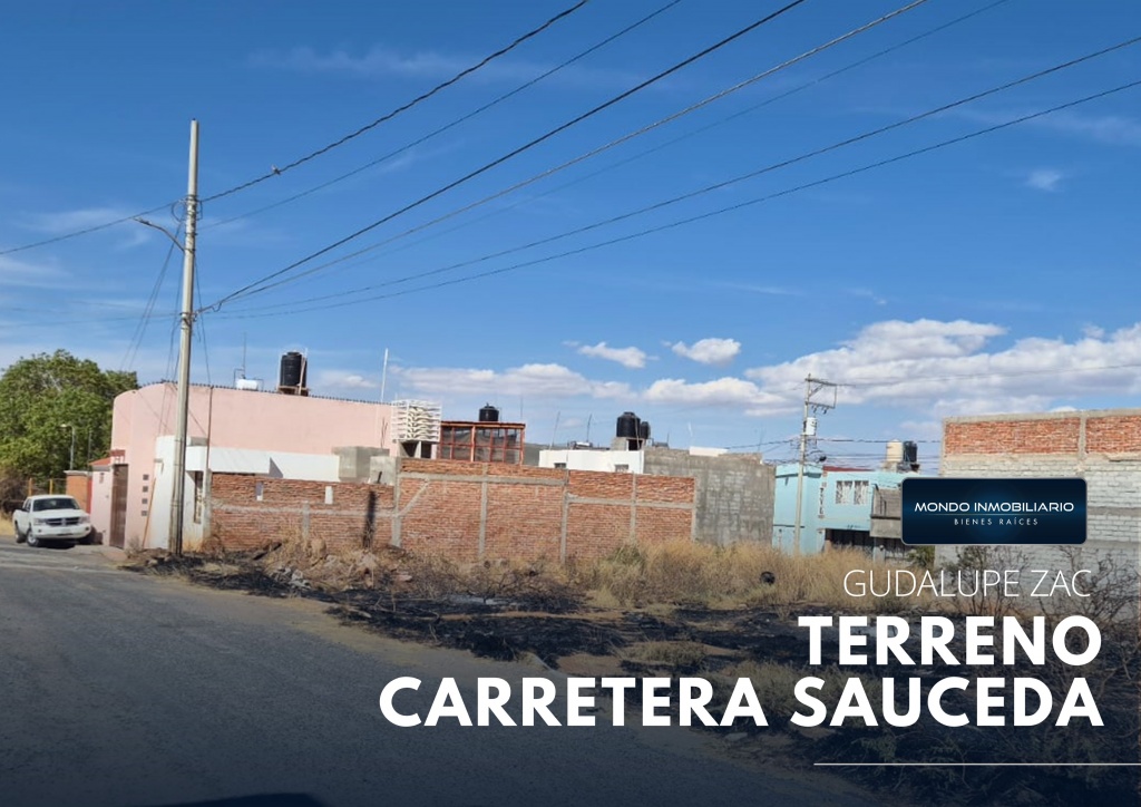 TERRENO A POCOS METROS DE MERCADO SORIANA