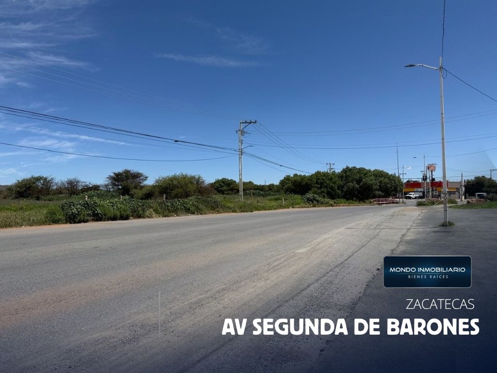 TERRENO VENTA GUADALUPE SEGUNDA DE BARONES 