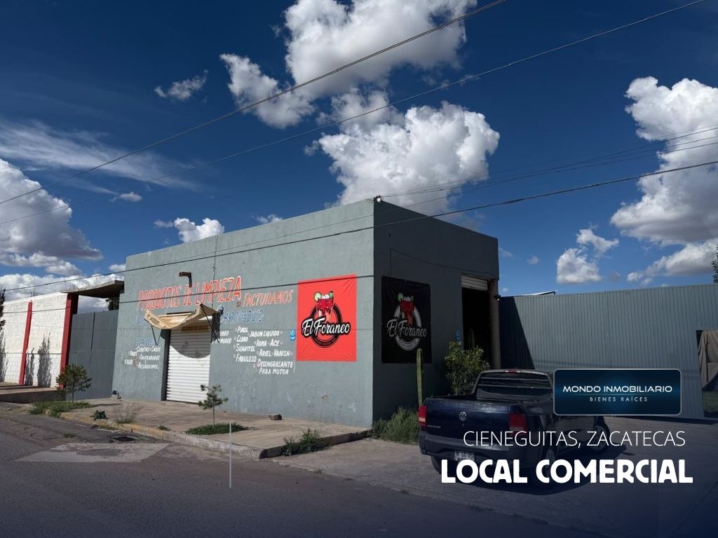 LOCALES COMERCIALES VENTA ZACATECAS CIENEGUITAS